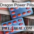 Dragon Power Pills 05